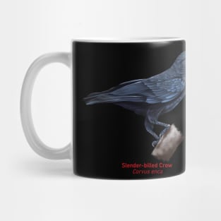 Slender-billed Crow | Corvus enca Mug